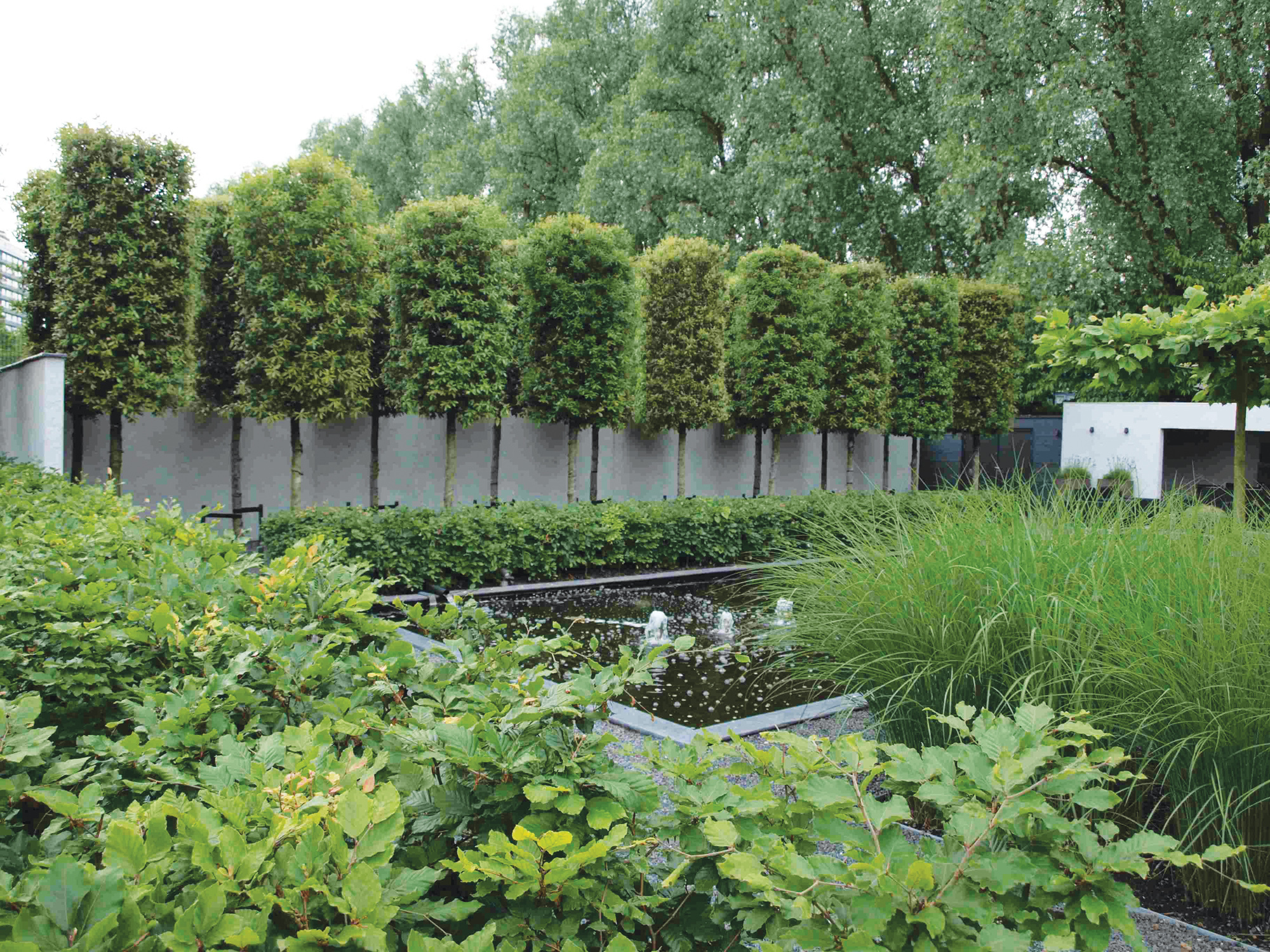 Bomen - Tuincentrum De Molen