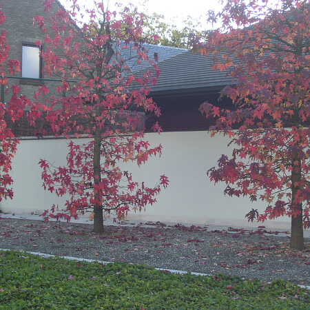 100_0902.jpg
