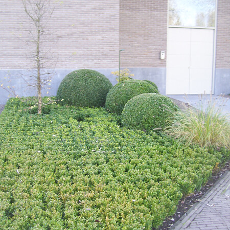 100_0914.jpg