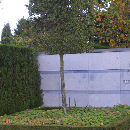 100_0917.jpg