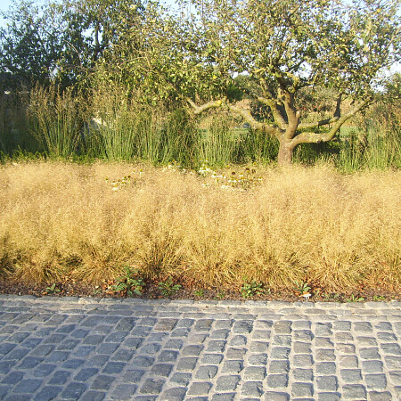 100_1715.jpg
