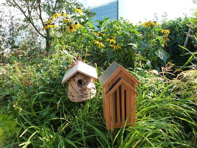 Insectenhotels kopen