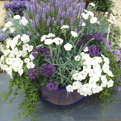 Tuin voorbeelden