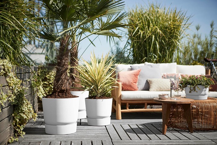 Balkonplanten kopen Tuincentrum De Molen