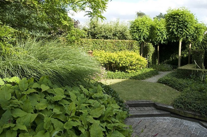 Gerenoveerde tuin