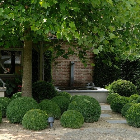 Architect_Vinckx_018.jpg