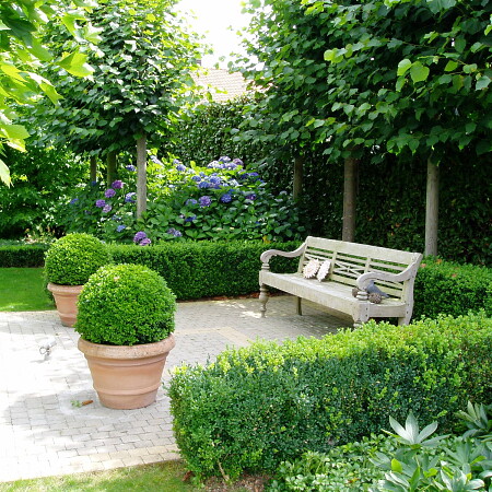 Augustus_2008_051.jpg