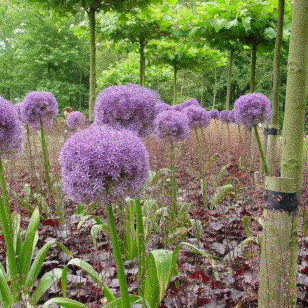 DSC00021.JPG