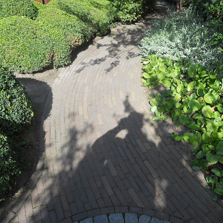 DSCN0464.jpg