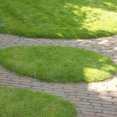 DSCN0469.jpg