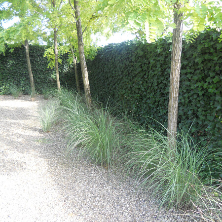 DSCN0497.jpg