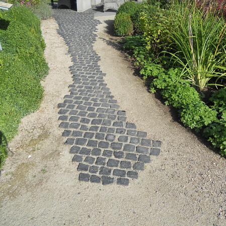 DSCN0498.jpg