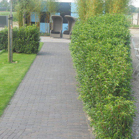 DSCN0502.jpg