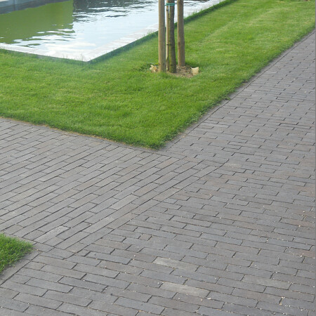 DSCN0503.jpg