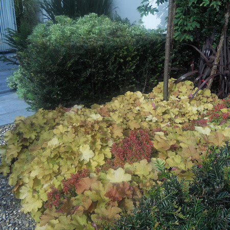 DSCN0504.jpg
