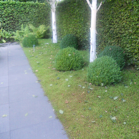 DSCN0545.jpg