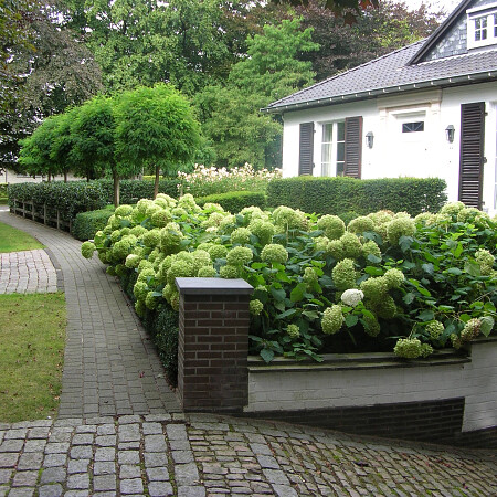DSCN3573.jpg