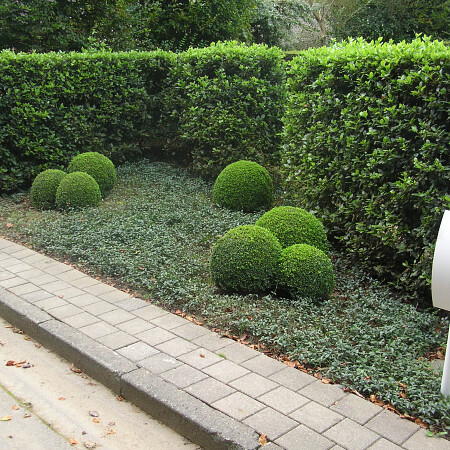 DSCN3577.jpg