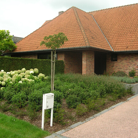 DSCN3578.jpg