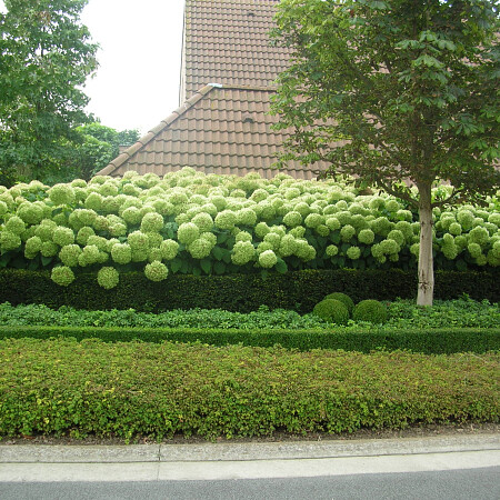 DSCN3579.jpg