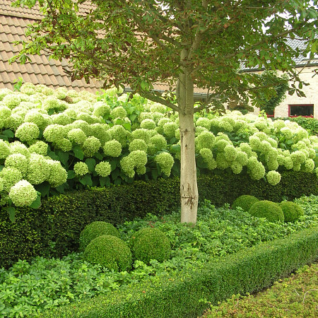 DSCN3580.jpg