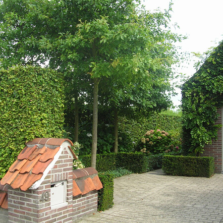 DSCN3582.jpg