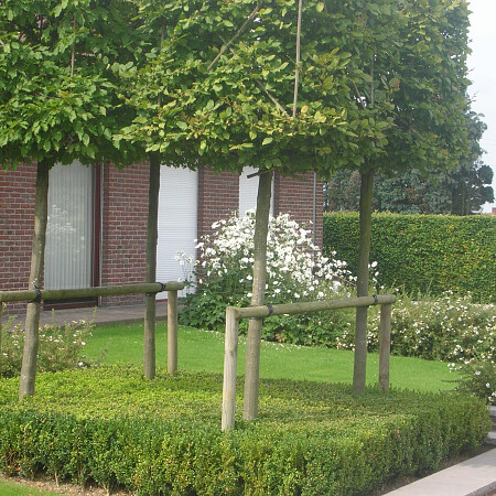 DSCN3583.jpg