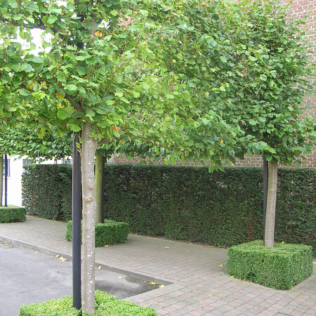 DSCN3586.jpg