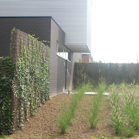 DSCN3590.jpg