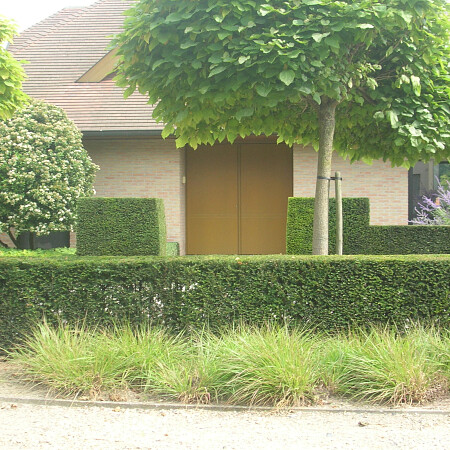 DSCN3592.jpg