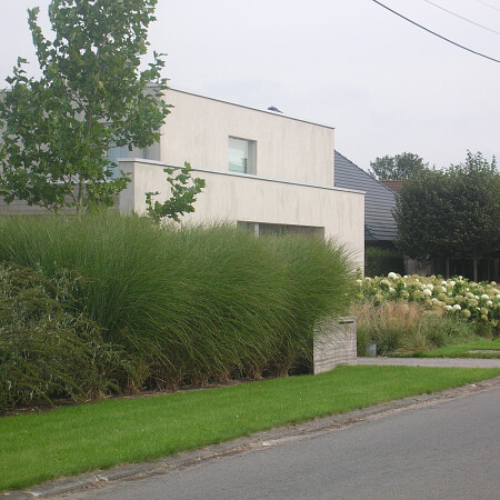 DSCN3597.jpg