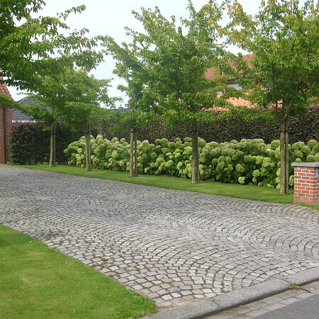 DSCN3598.jpg