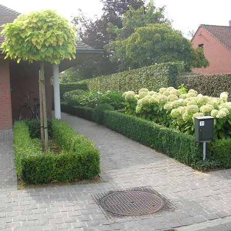DSCN3603.jpg