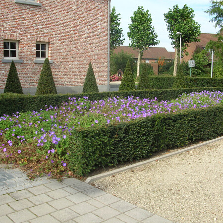 DSCN3605.jpg