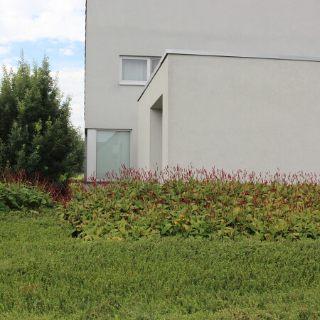 IMG_1551_-_kopie.JPG