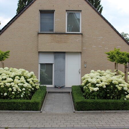 IMG_1562_-_kopie.JPG