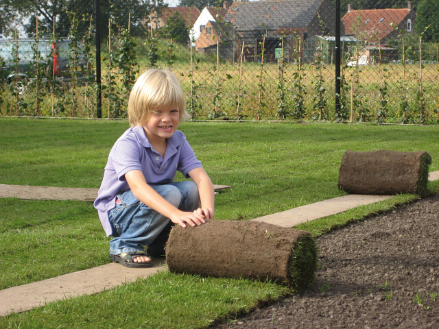 Bevatten symbool Scheermes Graszoden en Grasmatten kopen - Tuincentrum De Molen