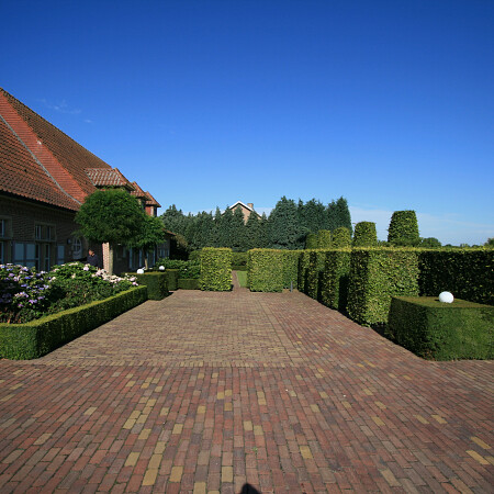 IMG_8184.jpg