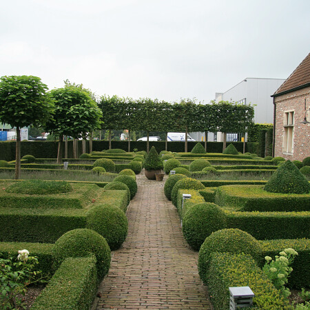 IMG_9180.jpg