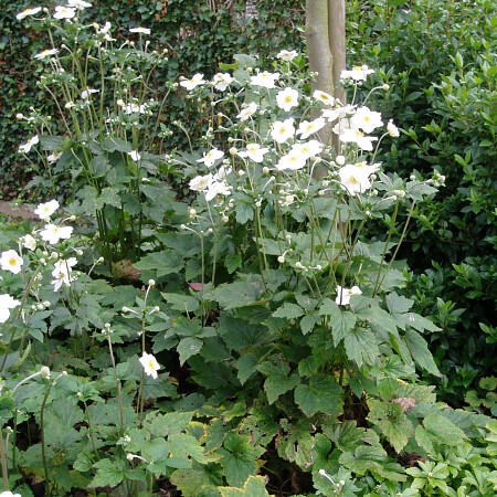 P1010016.JPG