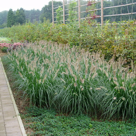 P1010116.JPG