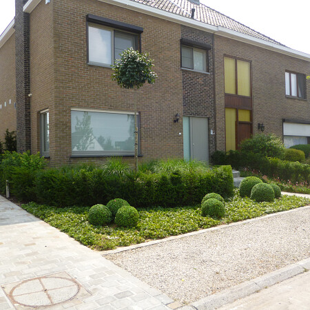 P1120555.jpg