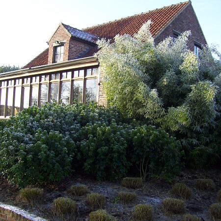 Romantische_tuin.JPG