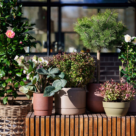 bloemenbureau-arrangement-expiration-date-2027-08-11.jpg