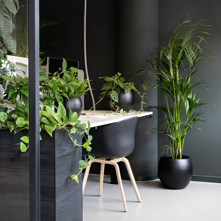 cresta-black-14.jpg