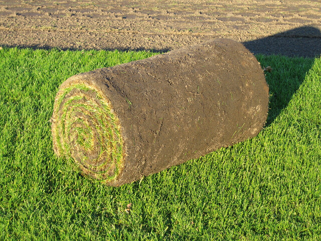 Pa afgewerkt timmerman Graszoden en Grasmatten kopen - Tuincentrum De Molen