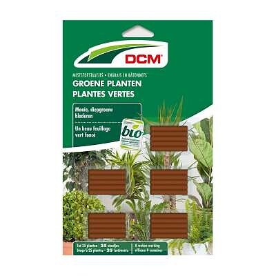 groene-planten-plantes-vertes-staafjes-400x400.jpg