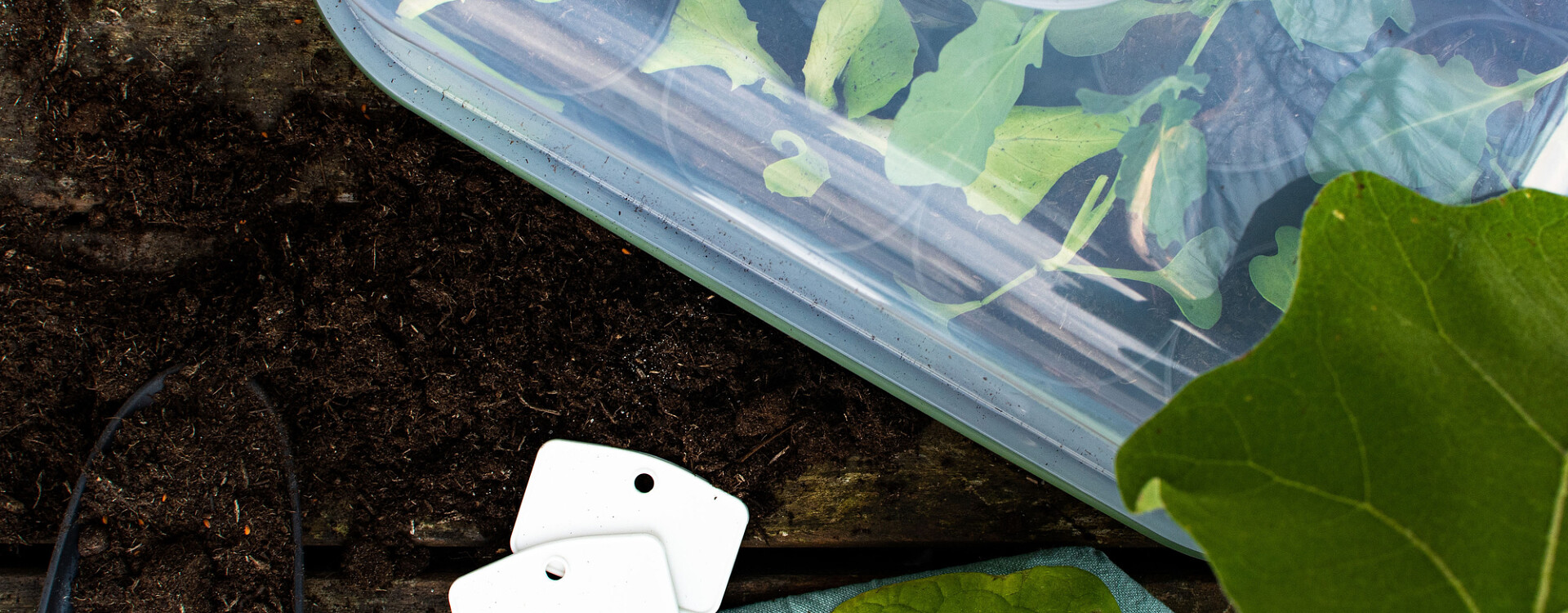 Moestuinseizoen
