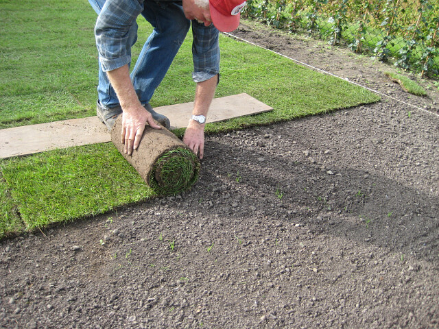 Bevatten symbool Scheermes Graszoden en Grasmatten kopen - Tuincentrum De Molen