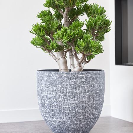 karlijn-anthracite-02.jpg